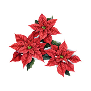 Winter Red Poinsettias & Snow T-Shirt