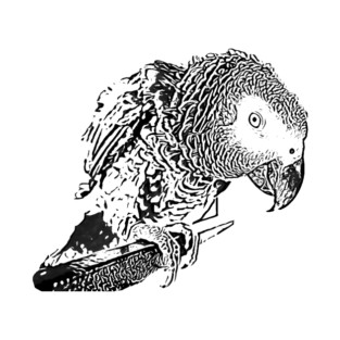 African Grey Parrot (Psittacus Erithacus) Grey Life T-Shirt