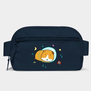 Space Guinea Pig Bag