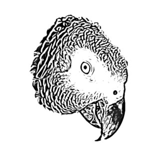 African Grey Parrot (Psittacus Erithacus) Grey Life T-Shirt