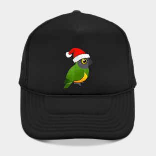 Cute Senegal Parrot Christmas Bird as Santa Claus Gift Hat