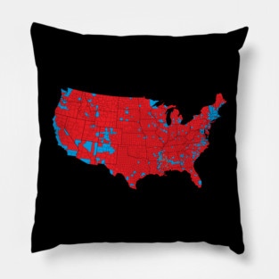 Election Map 2024 03 Pillow