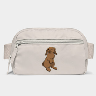 Holland Lop Bag