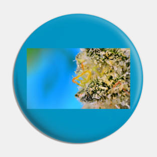 The Blue Bride - Weed Design Pin