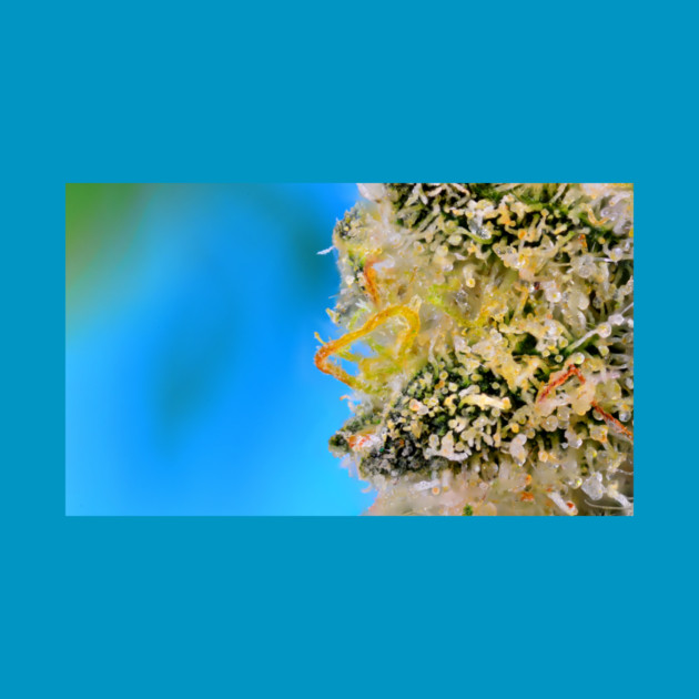 The Blue Bride - Weed Design by MrGreenGenes420