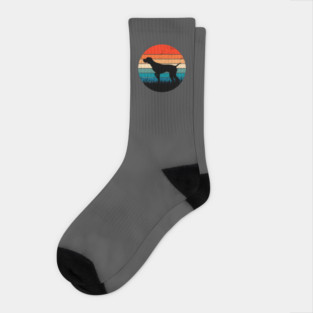 Pointer Retro Sunset Socks