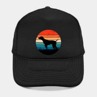 Pointer Retro Sunset Hat