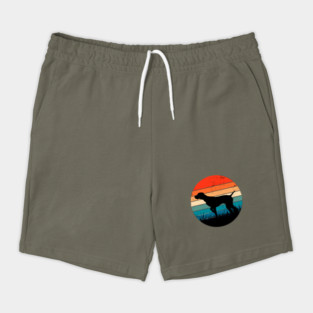 Pointer Retro Sunset Shorts