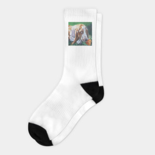 Basset Hound Fine Art Painting Socks