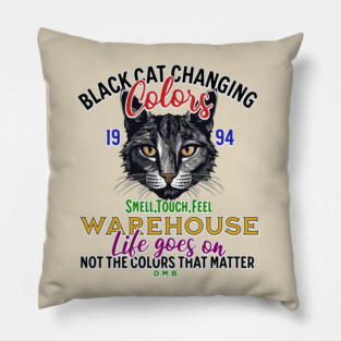 Dave Matthews Band Pillow