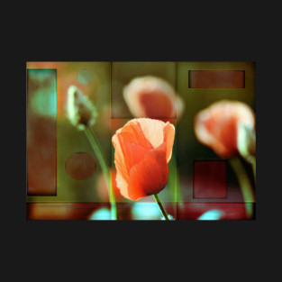 California Poppy(Abstract) T-Shirt