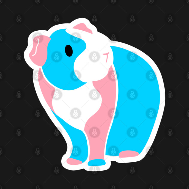 Trans Guinea Pig by DeguArts