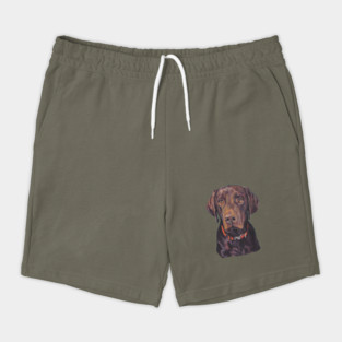 Labrador Retriever Fine Art Painting Shorts