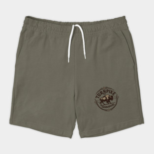 Turnpike Troubadours Shorts