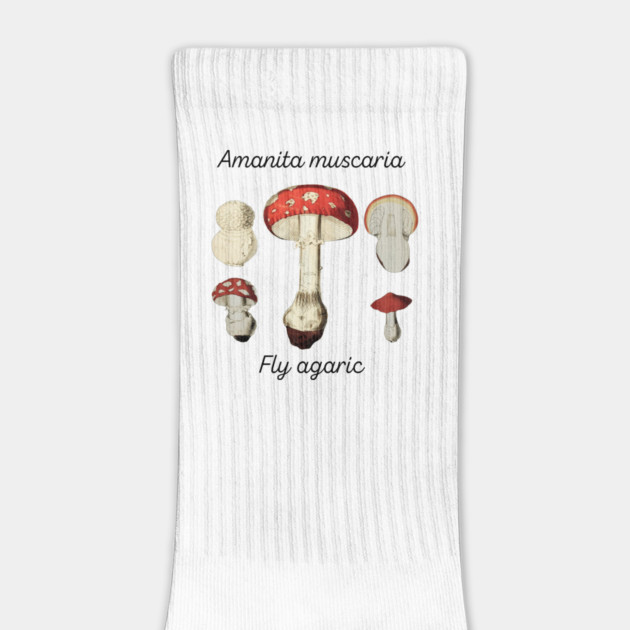 Amanita muscaria by Four Season Foraging