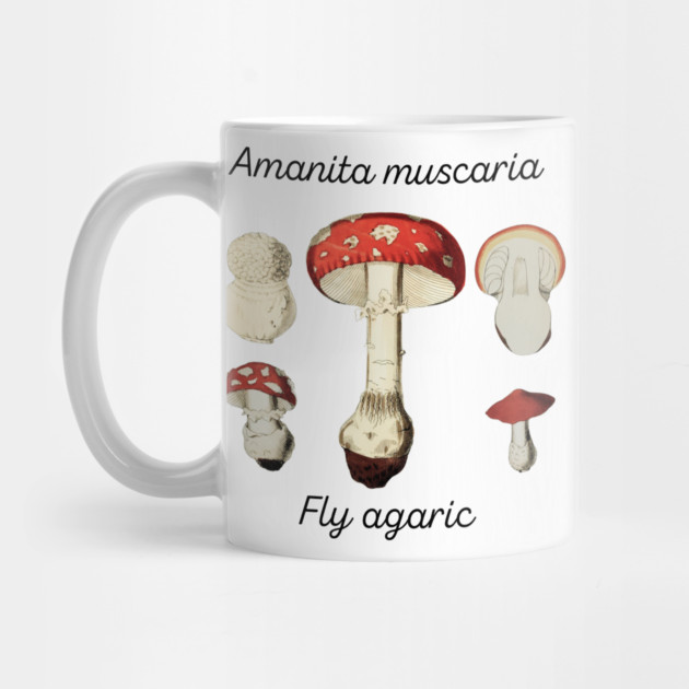 Amanita muscaria by Four Season Foraging