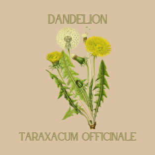 Dandelion (color) T-Shirt
