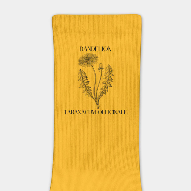 Dandelion (black and white) by Four Season Foraging