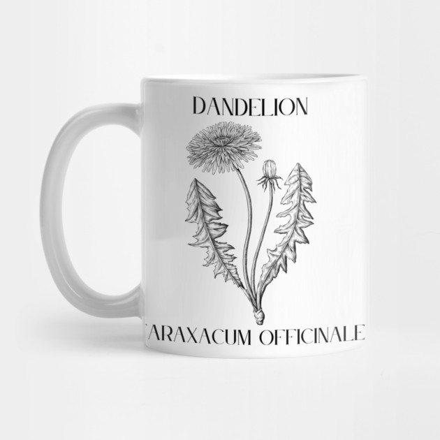 Dandelion (black and white) by Four Season Foraging