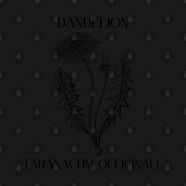 Dandelion (black and white) by Four Season Foraging