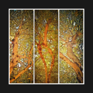 Olive Tree Grove T-Shirt