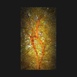 View to the Olive Tree (Abstract) T-Shirt