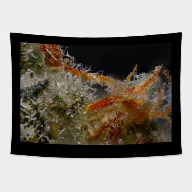 Electric Blue Sea Anemone - Weed Design Tapestry by MrGreenGenes420