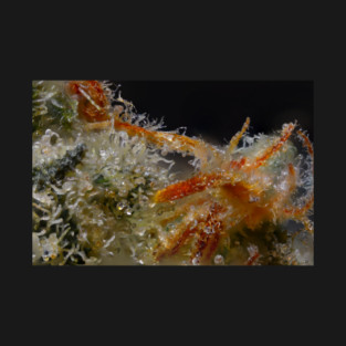 Electric Blue Sea Anemone - Weed Design T-Shirt