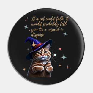 If a cat could talk, it would probably tell you it's a wizard in disguise. Pin