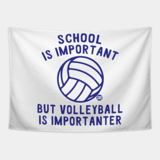 volleyball Tapestry