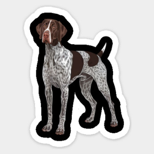 German Shorthaired Pointer, A Loyal Hunter’s Companion in Stunning Artwork Sticker
