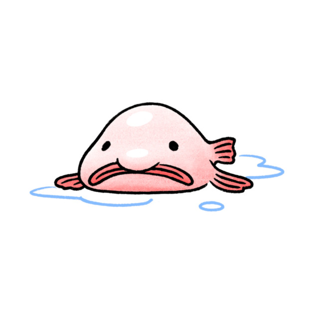 A blobfish by BUOY