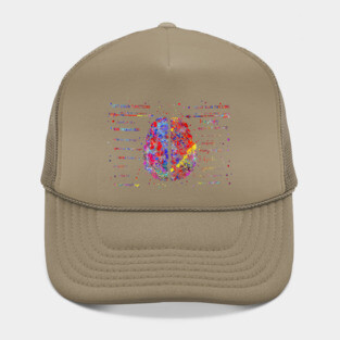 Left and right brain function Hat