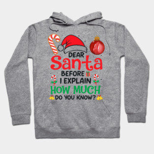 Dear Santa before I explain how much do you know? Hoodie