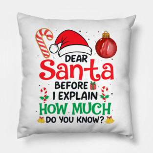 Dear Santa before I explain how much do you know? Pillow