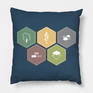 Economics Pillow