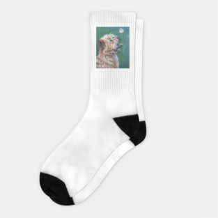 Cairn Terrier Fine Art Painting Socks