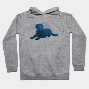 Labrador Hoodie