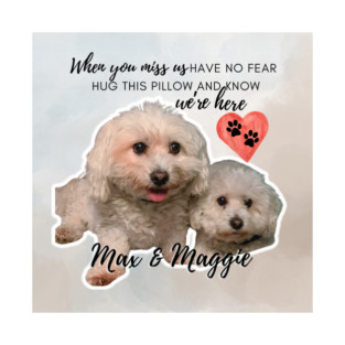 Max & Maggie Pillow T-Shirt