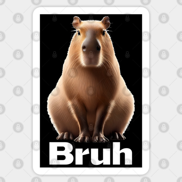 Funny Capybara Bruh trendy meme design Sticker by Luxinda