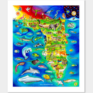 Florida Animals Posters and Art