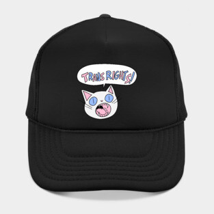 Trans Rights! Hat