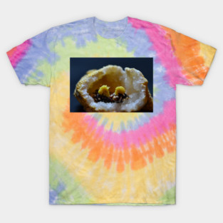 Dabtastic Geode - Weed Design T-Shirt