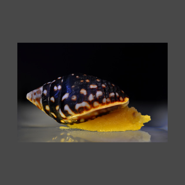 Ferst Class Snail Dab - Weed Design by MrGreenGenes420