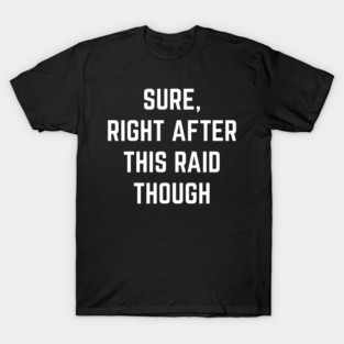 Sure Right After This Raid Though. T-Shirt