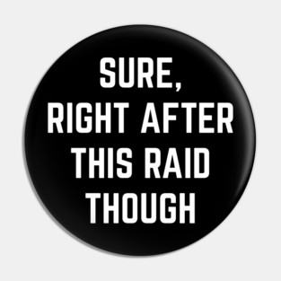 Sure Right After This Raid Though. Pin