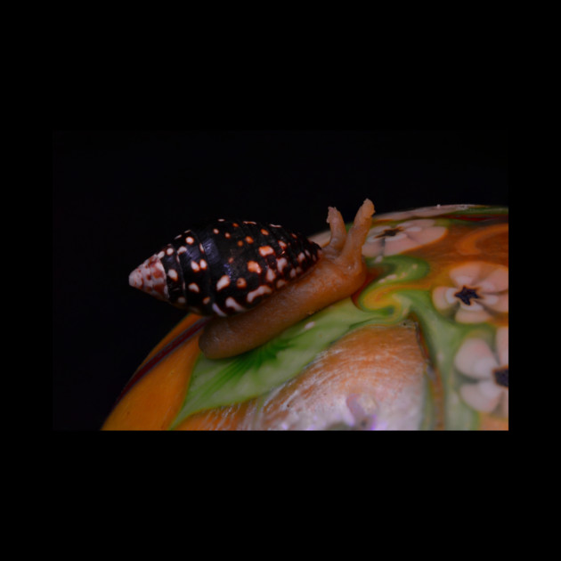 Dab Snail 2 - Weed Design by MrGreenGenes420