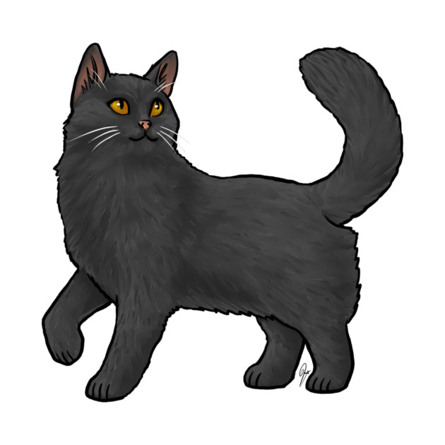 Cat - Turkish Van - Black by Jen's Dogs Custom Gifts and Designs