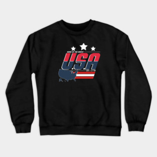 USA-1776 Crewneck Sweatshirt