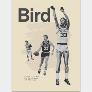 Larry Bird Fly Posters and Art